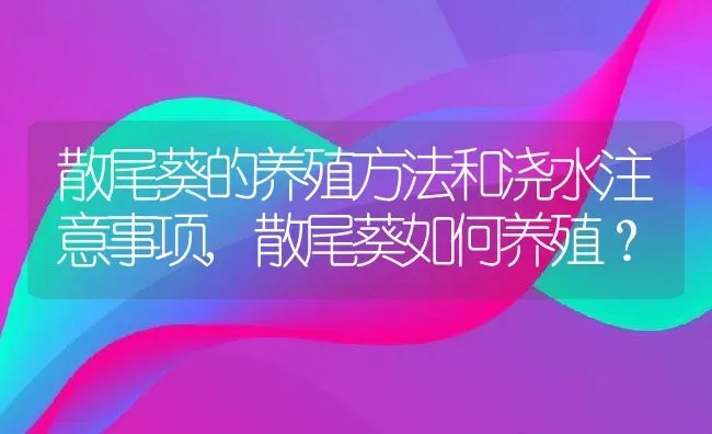 散尾葵的养殖方法和浇水注意事项,散尾葵如何养殖？ | 养殖科普