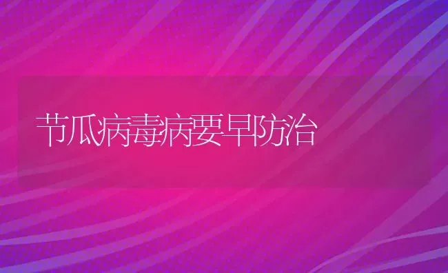 节瓜病毒病要早防治 | 养殖技术大全