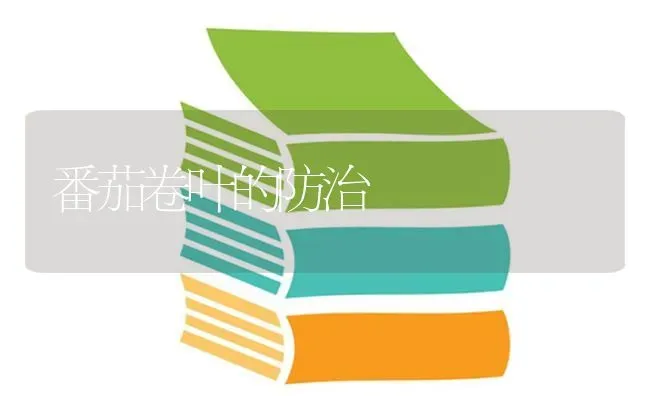 番茄卷叶的防治 | 养殖知识