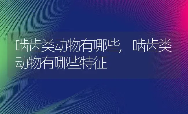 啮齿类动物有哪些,啮齿类动物有哪些特征 | 养殖科普