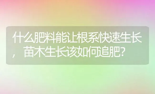 什么肥料能让根系快速生长,苗木生长该如何追肥？ | 养殖科普