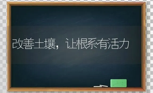 改善土壤,让根系有活力 | 养殖知识