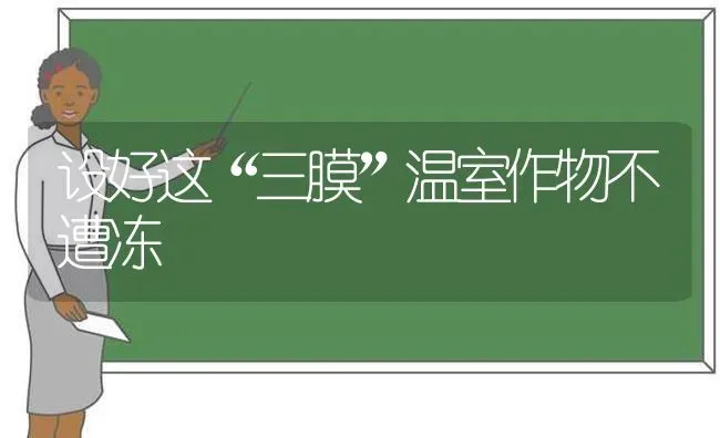 设好这“三膜”温室作物不遭冻 | 养殖技术大全