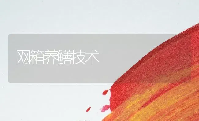 网箱养鳝技术 | 养殖技术大全