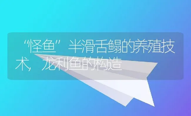 “怪鱼”半滑舌鳎的养殖技术,龙利鱼的构造 | 养殖学堂
