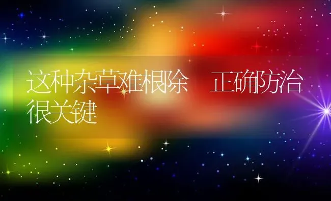 这种杂草难根除 正确防治很关键 | 养殖技术大全