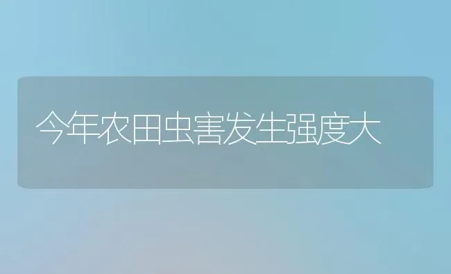 今年农田虫害发生强度大 | 养殖技术大全