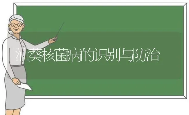 油葵核菌病的识别与防治 | 养殖技术大全