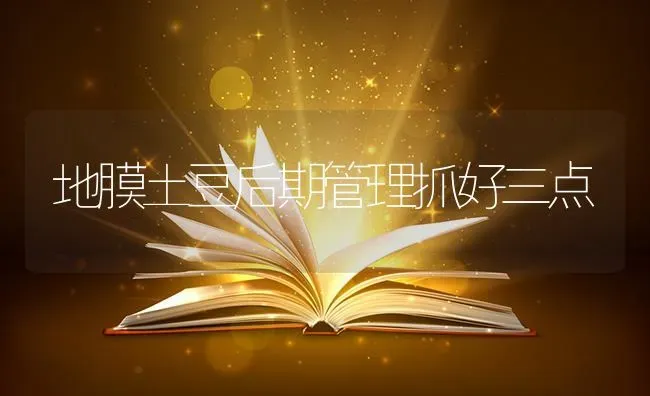 地膜土豆后期管理抓好三点 | 养殖技术大全