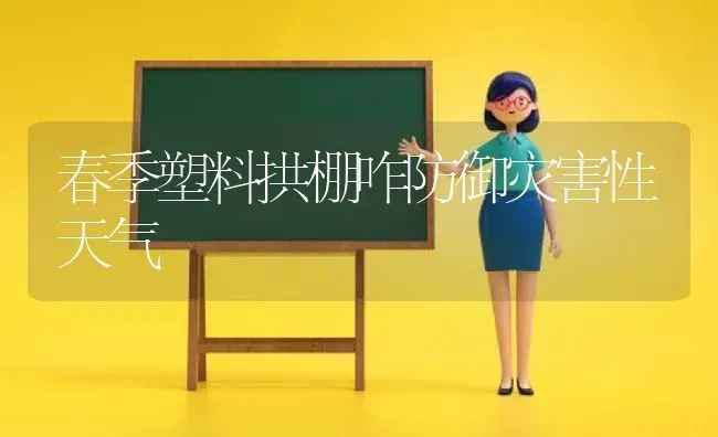 春季塑料拱棚咋防御灾害性天气 | 养殖知识