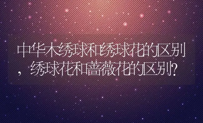 中华木绣球和绣球花的区别,绣球花和蔷薇花的区别？ | 养殖科普