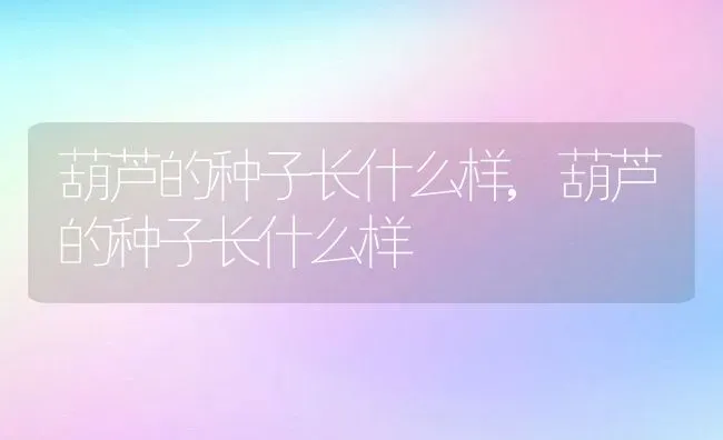 葫芦的种子长什么样,葫芦的种子长什么样 | 养殖科普