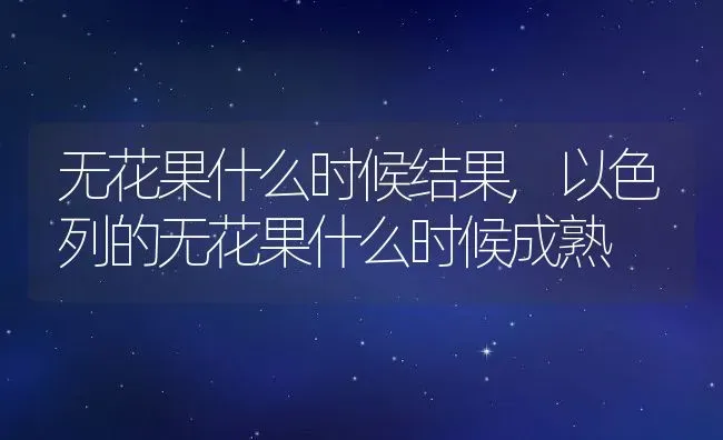 无花果什么时候结果,以色列的无花果什么时候成熟 | 养殖学堂