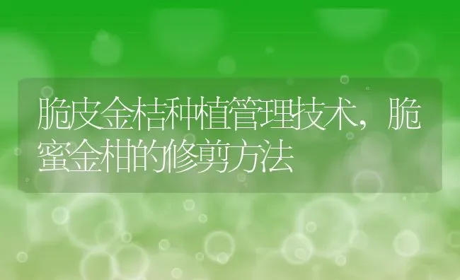 脆皮金桔种植管理技术,脆蜜金柑的修剪方法 | 养殖学堂