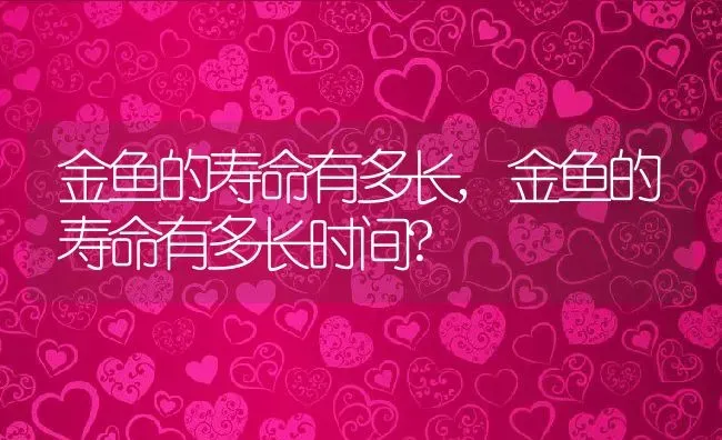 金鱼的寿命有多长,金鱼的寿命有多长时间? | 养殖科普