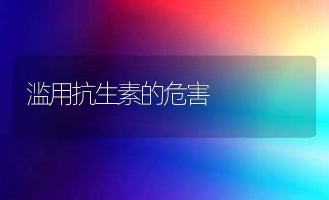 滥用抗生素的危害 | 养殖知识