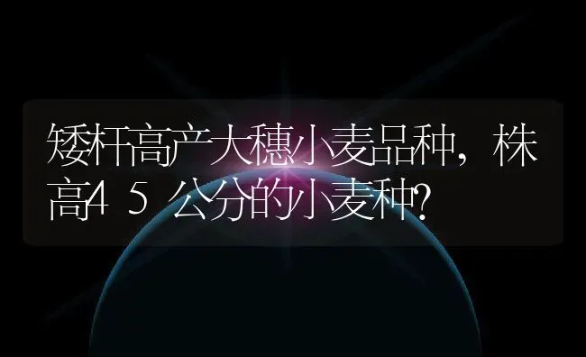 矮杆高产大穗小麦品种,株高45公分的小麦种？ | 养殖科普