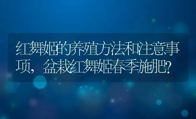 红舞姬的养殖方法和注意事项,盆栽红舞姬春季施肥？ | 养殖科普