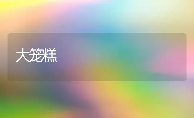 大笼糕 | 养殖技术大全