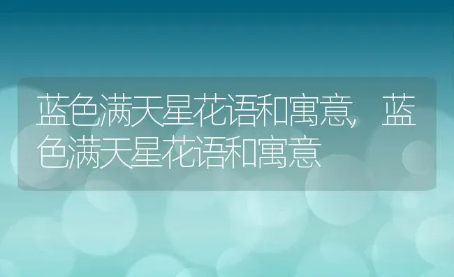 蓝色满天星花语和寓意,蓝色满天星花语和寓意 | 养殖学堂