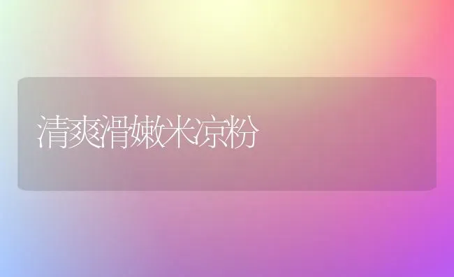 清爽滑嫩米凉粉 | 养殖技术大全