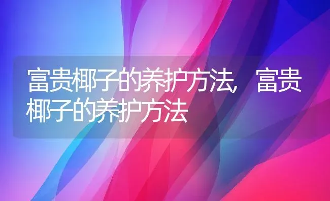 富贵椰子的养护方法,富贵椰子的养护方法 | 养殖科普