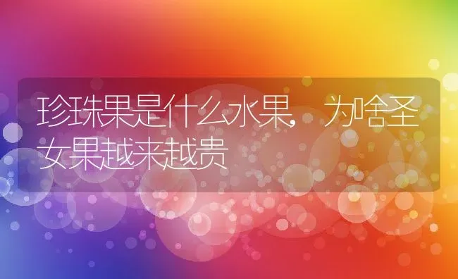 珍珠果是什么水果,为啥圣女果越来越贵 | 养殖学堂