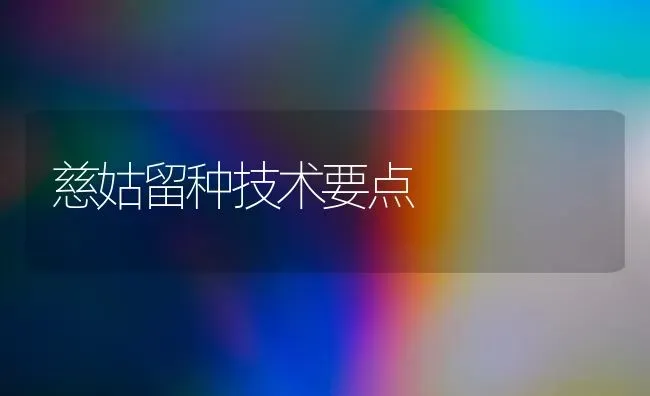 慈姑留种技术要点 | 养殖知识