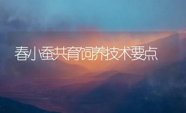 春小蚕共育饲养技术要点 | 养殖知识