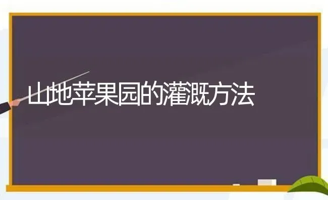 生姜贮运保鲜技术 | 养殖技术大全