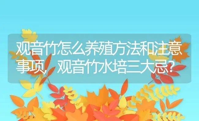 观音竹怎么养殖方法和注意事项,观音竹水培三大忌？ | 养殖科普