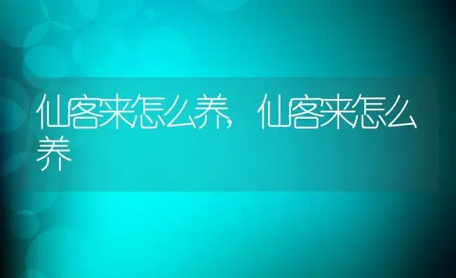 仙客来怎么养,仙客来怎么养 | 养殖科普