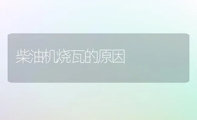 柴油机烧瓦的原因 | 养殖知识