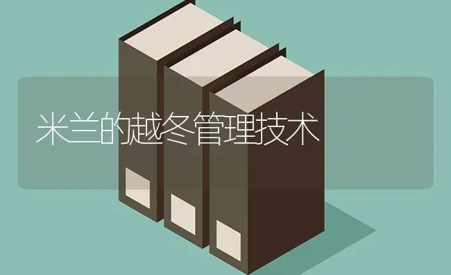 米兰的越冬管理技术 | 养殖技术大全