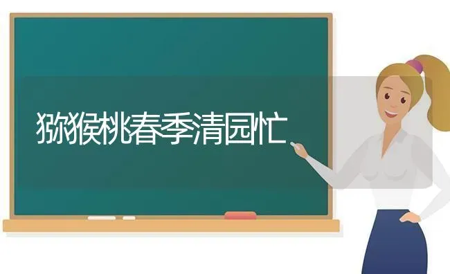 猕猴桃春季清园忙 | 养殖知识