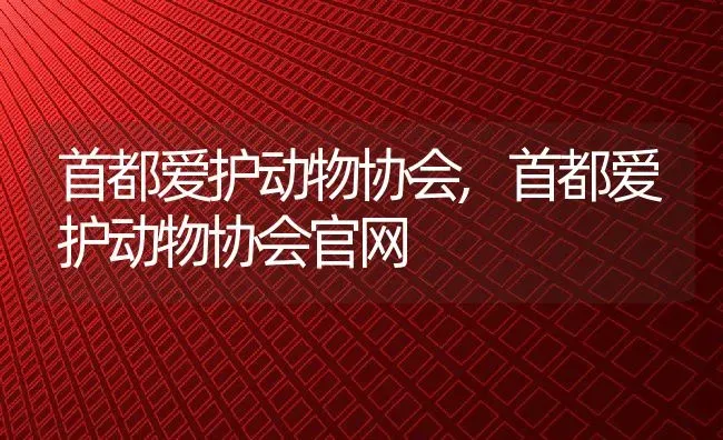 首都爱护动物协会,首都爱护动物协会官网 | 养殖学堂