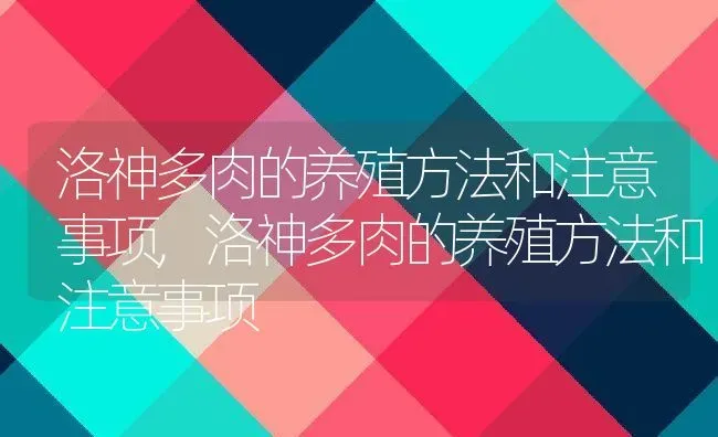 洛神多肉的养殖方法和注意事项,洛神多肉的养殖方法和注意事项 | 养殖科普