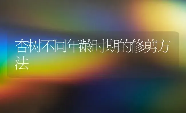 杏树不同年龄时期的修剪方法 | 养殖技术大全