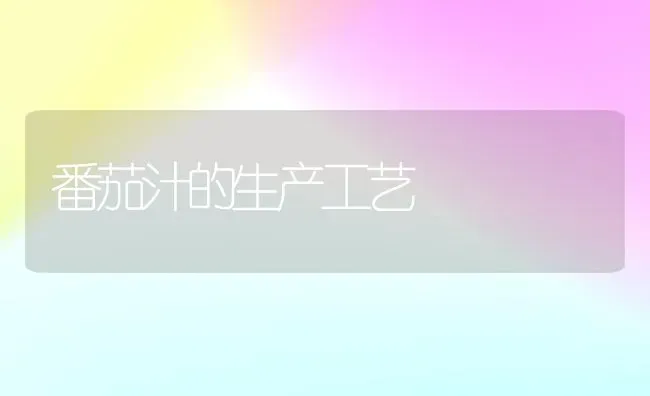 番茄汁的生产工艺 | 养殖技术大全