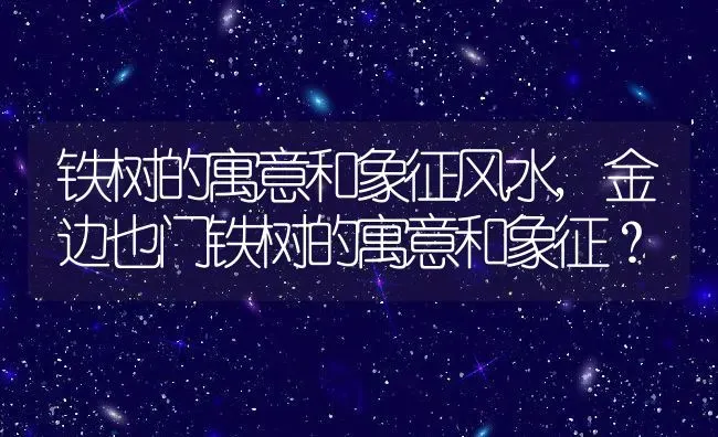 香水柠檬的养殖方法和注意事项,香水柠檬树的养殖方法和注意事项？ | 养殖科普