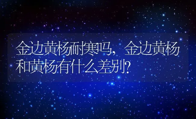 荀子是什么植物,荀子花百科？ | 养殖科普