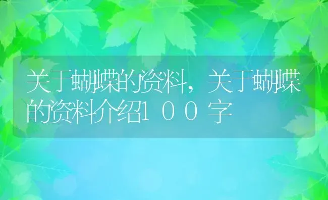 关于蝴蝶的资料,关于蝴蝶的资料介绍100字 | 养殖资料