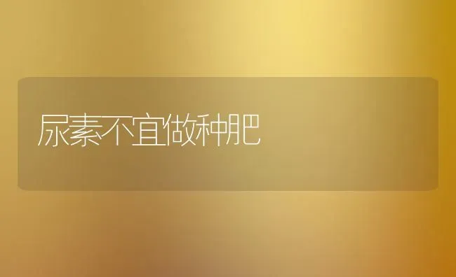 尿素不宜做种肥 | 养殖技术大全