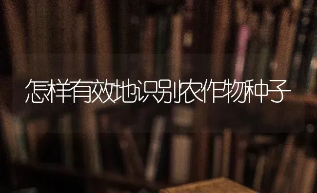 怎样有效地识别农作物种子 | 养殖知识