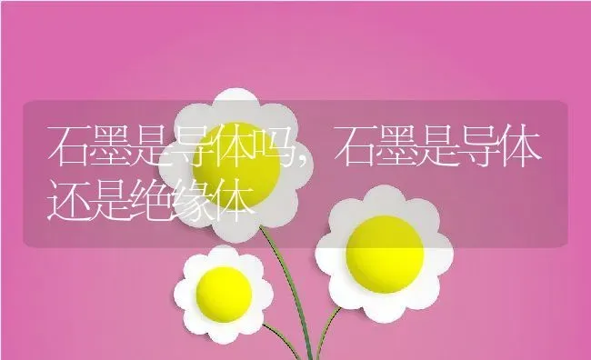 石墨是导体吗,石墨是导体还是绝缘体 | 养殖资料