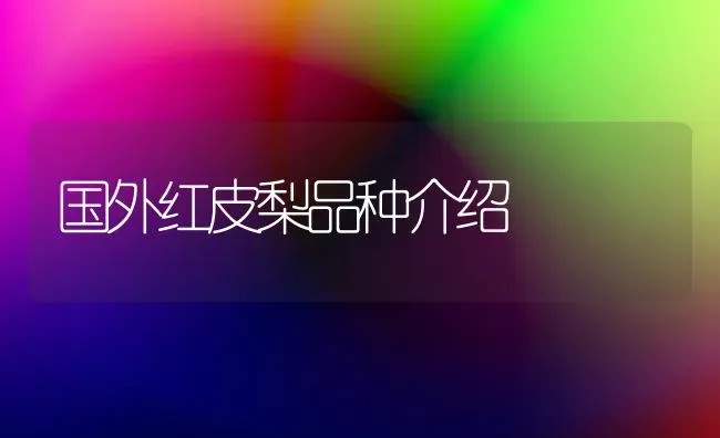 国外红皮梨品种介绍 | 养殖技术大全