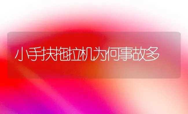 小手扶拖拉机为何事故多 | 养殖知识