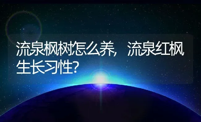 流泉枫树怎么养,流泉红枫生长习性？ | 养殖科普