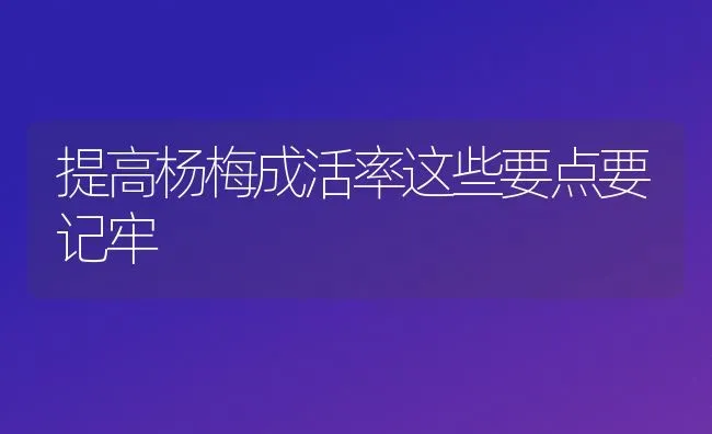 提高杨梅成活率这些要点要记牢 | 养殖技术大全