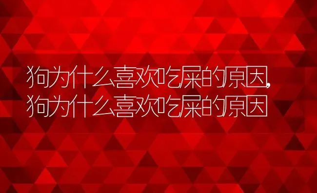 狗为什么喜欢吃屎的原因,狗为什么喜欢吃屎的原因 | 养殖学堂